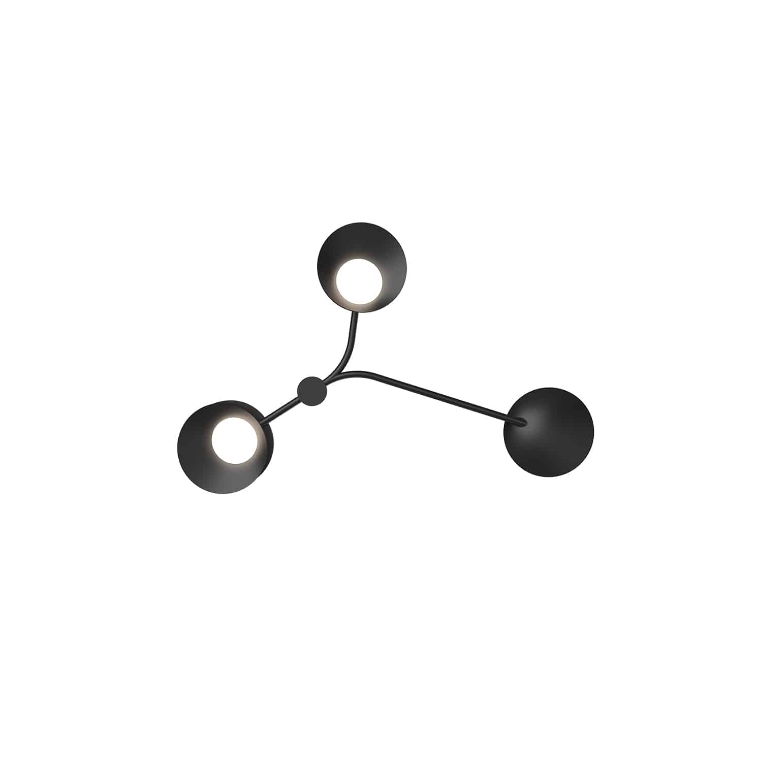 Main Image 1