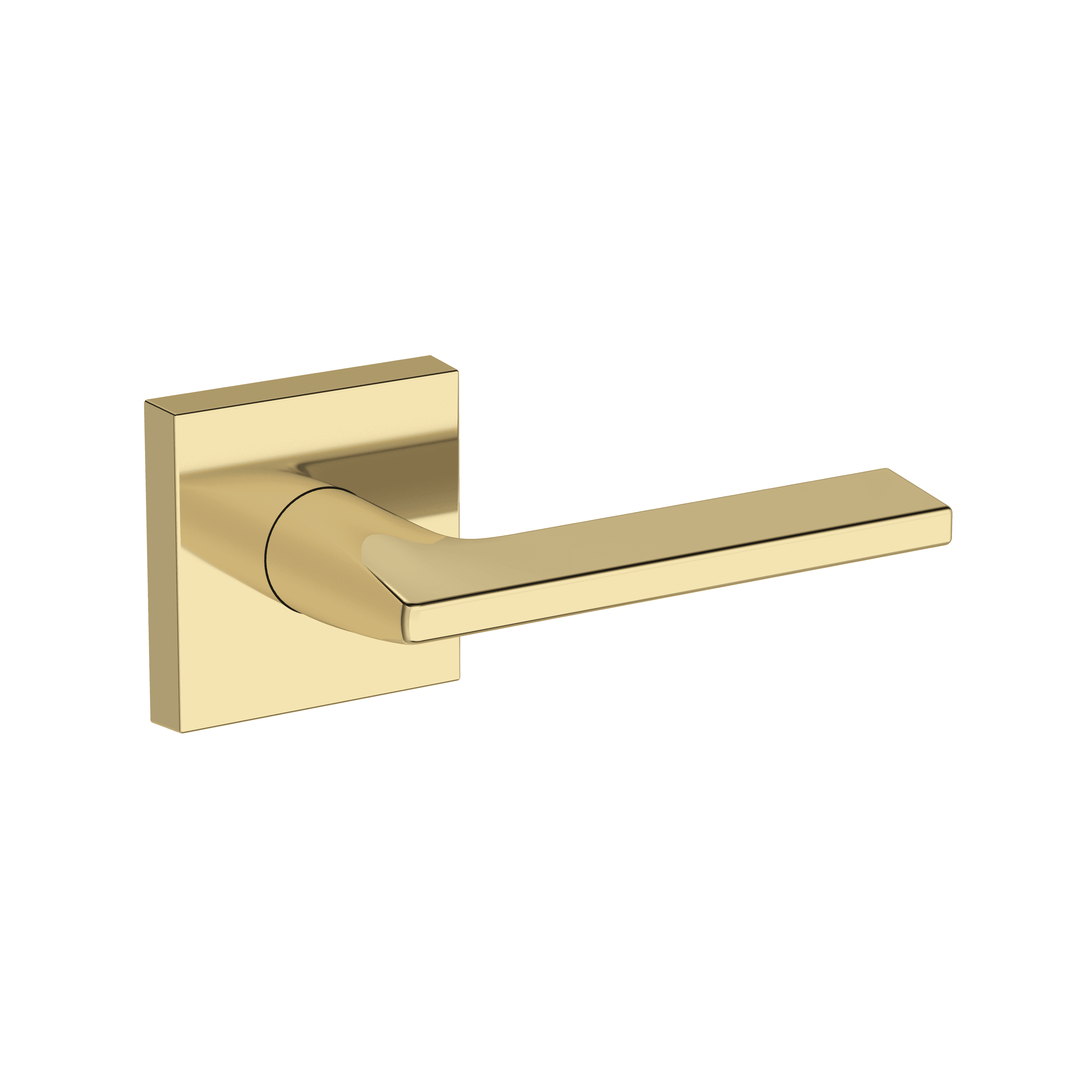 Main Image 1