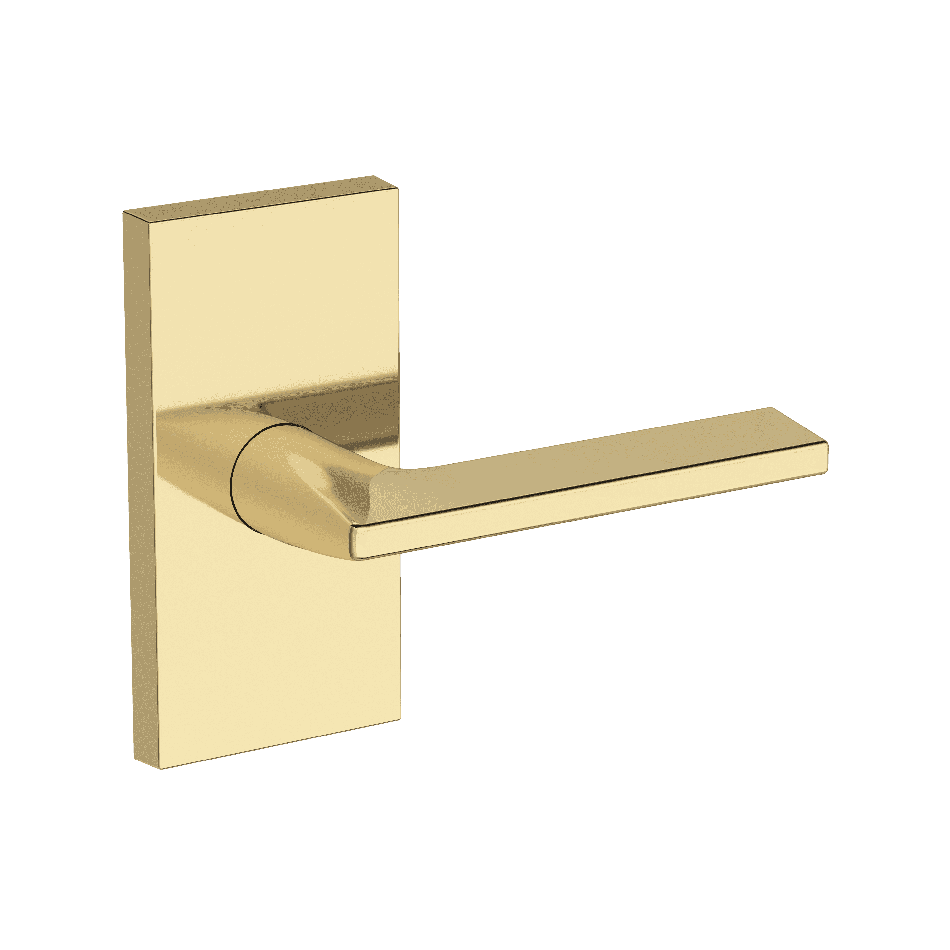 Main Image 1