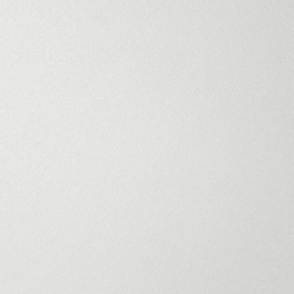 Main Image 1