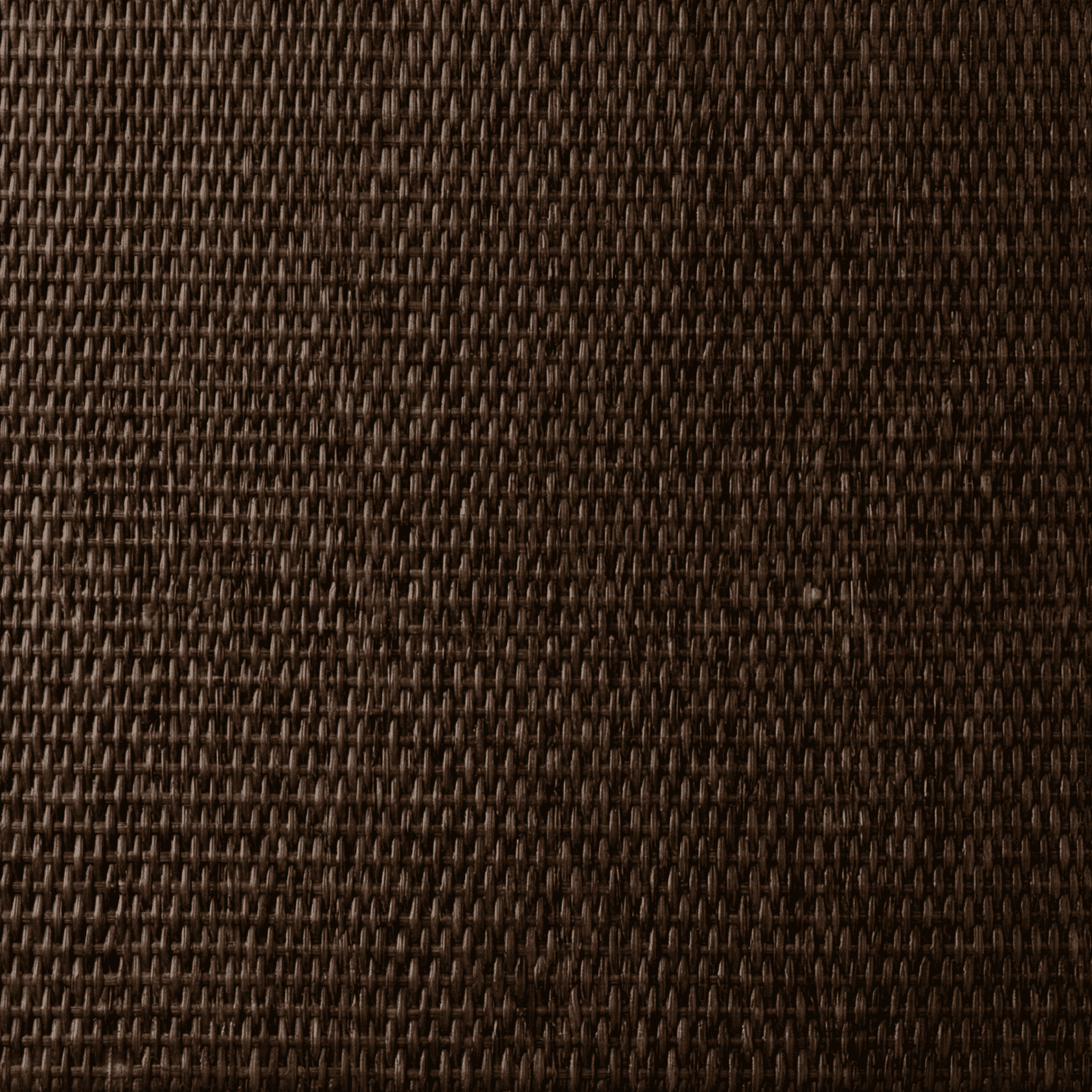 Main Image 1