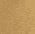 Main Image 1
